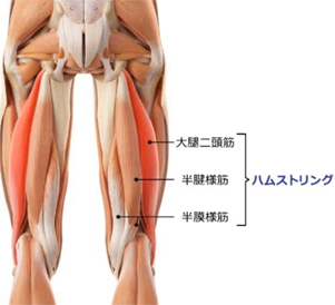 ひざ痛